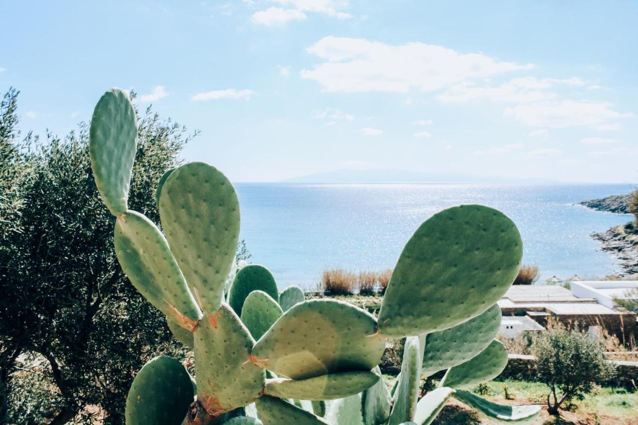 The Elaia House Mykonos Villa Ornos  Buitenkant foto