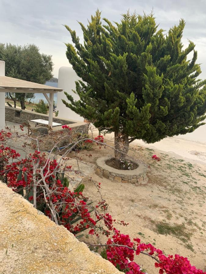 The Elaia House Mykonos Villa Ornos  Buitenkant foto